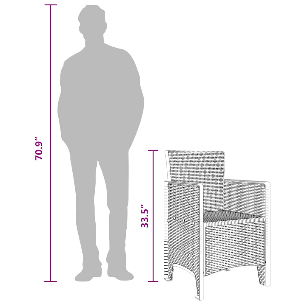 Garden Chair 2 Pcs 53 X 49 X 85 Cm Pp