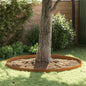 Garden Lawn Edging Rusty