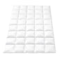 Giselle Bedding 800GSM Goose Down Feather Quilt Winter Blanket Duvet Comforter Single