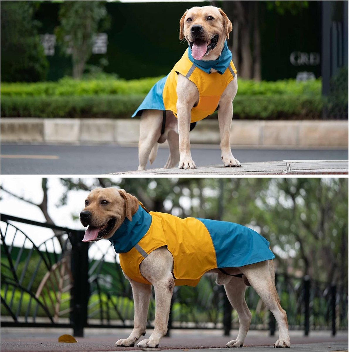 Dog Raincoat - Dog Jacket - Waterproof Winter Dog Jackets - Windproof Dog Jacket - Winter Dog Jacket - Reflective Strip - Perfect for Small and Medium Dogs - Blue and Yellow - Size M