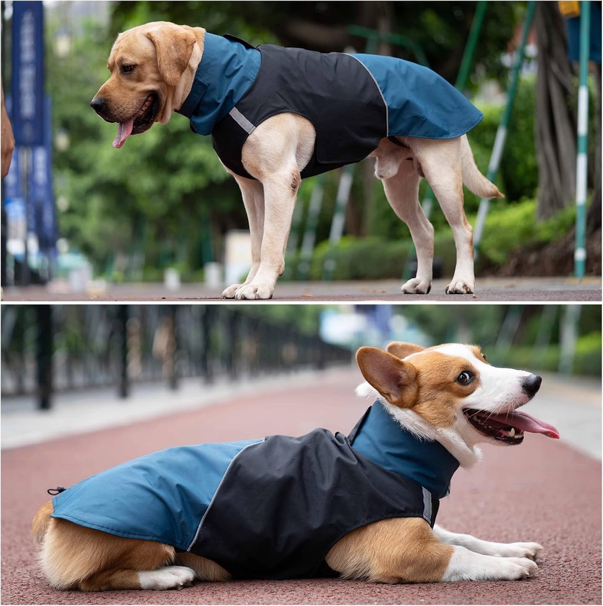 Dog Raincoat - Dog Jacket - Waterproof Winter Dog Jackets - Windproof Dog Jacket - Winter Dog Jacket - Reflective Strip - Perfect for Small Dogs - Medium-Sized Dogs - Blue and Black - Size S