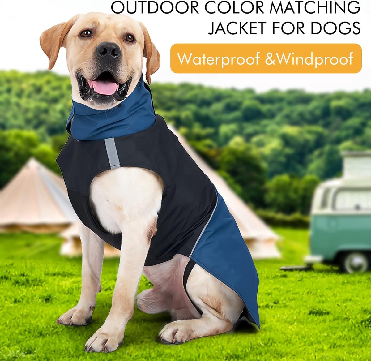 Dog Raincoat - Dog Jacket - Waterproof Winter Dog Jackets - Windproof Dog Jacket - Winter Dog Jacket - Reflective Strip - Perfect for Small Dogs - Medium-Sized Dogs - Blue and Black - Size L