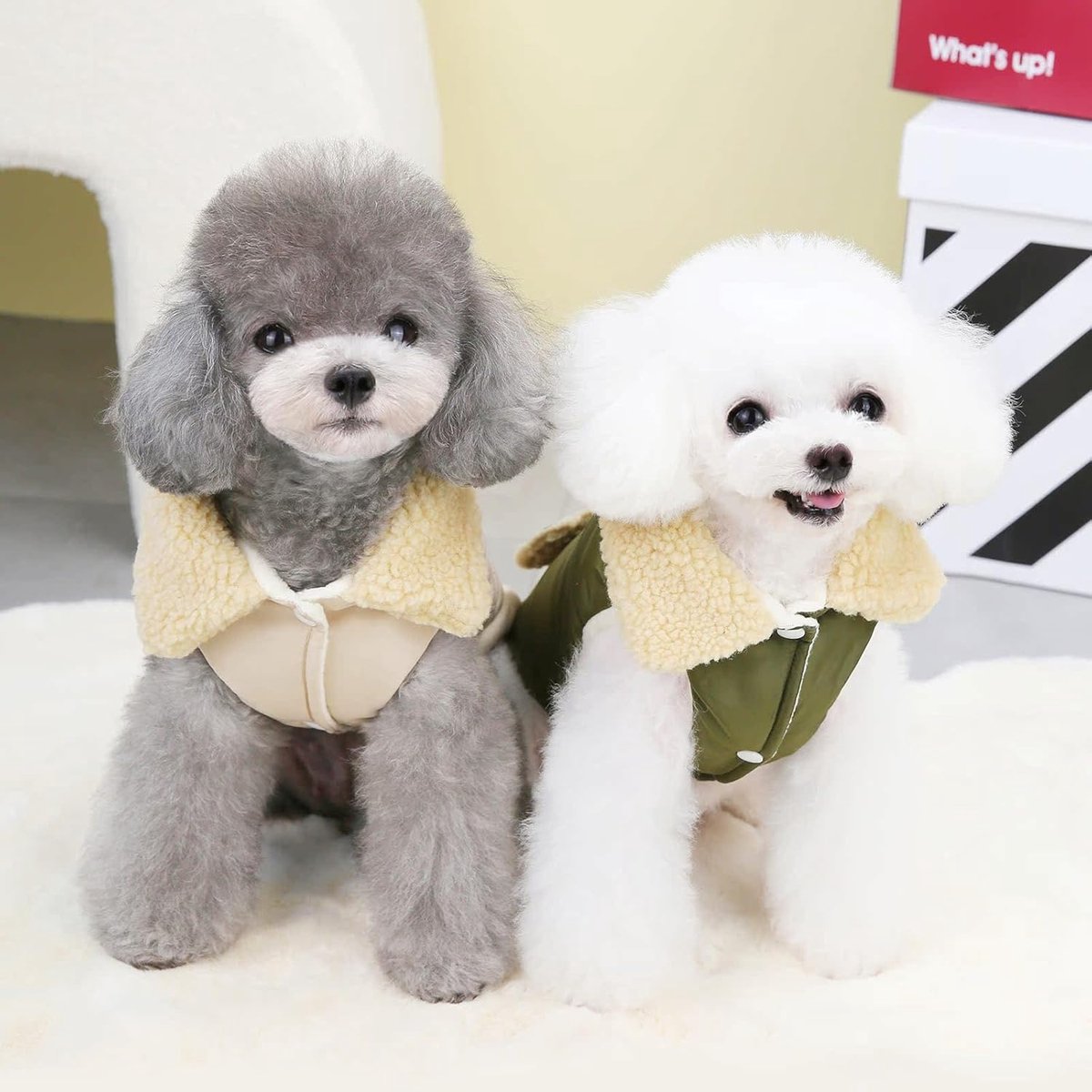 Dog Coat - Extreme Cold Weather Coat - Winter Dog Coat - Warm Dog Coat - Windproof Dog Coat - Velvet Dog Coat - Thick Winter Clothing - Fur Collar - Perfect for Dogs - Size XXL - Khaki