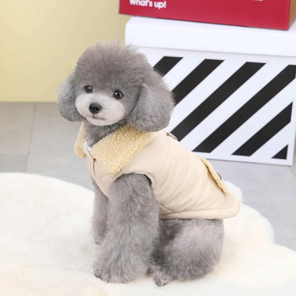 Dog Coat - Extreme Cold Weather Coat - Winter Dog Coat - Warm Dog Coat - Windproof Dog Coat - Velvet Dog Coat - Thick Winter Clothing - Fur Collar - Perfect for Dogs - Size XXL - Khaki