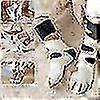 Women's Coral Fleece Fluffy Socks Soft Slipper Bed Socks for Winter Use