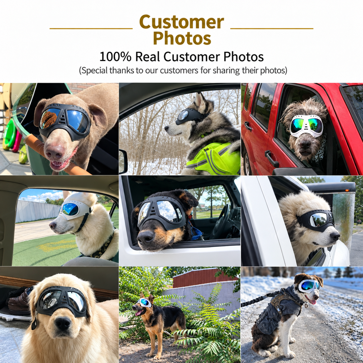 Adjustable Pet Dog Goggles with UV Protection Anti-Fog Lens and Reflective Coating for Medium to Large Dogs Outdoor Driving Beach Snow Activities (Black)