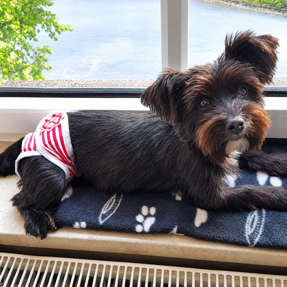 Washable Dog Physiological Underwear with Nautical Striped Design, Adjustable Magic Tape, Tail Opening and Leak-Proof Layer for Small to Large Dogs During Heat Cycles and Daily Indoor or Outdoor Use (L, Red)