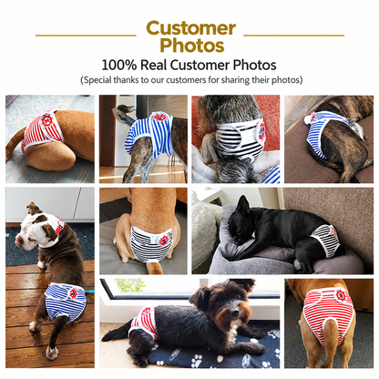 Washable Dog Physiological Underwear with Nautical Striped Design, Adjustable Magic Tape, Tail Opening and Leak-Proof Layer for Small to Large Dogs During Heat Cycles and Daily Indoor or Outdoor Use (L, Red)