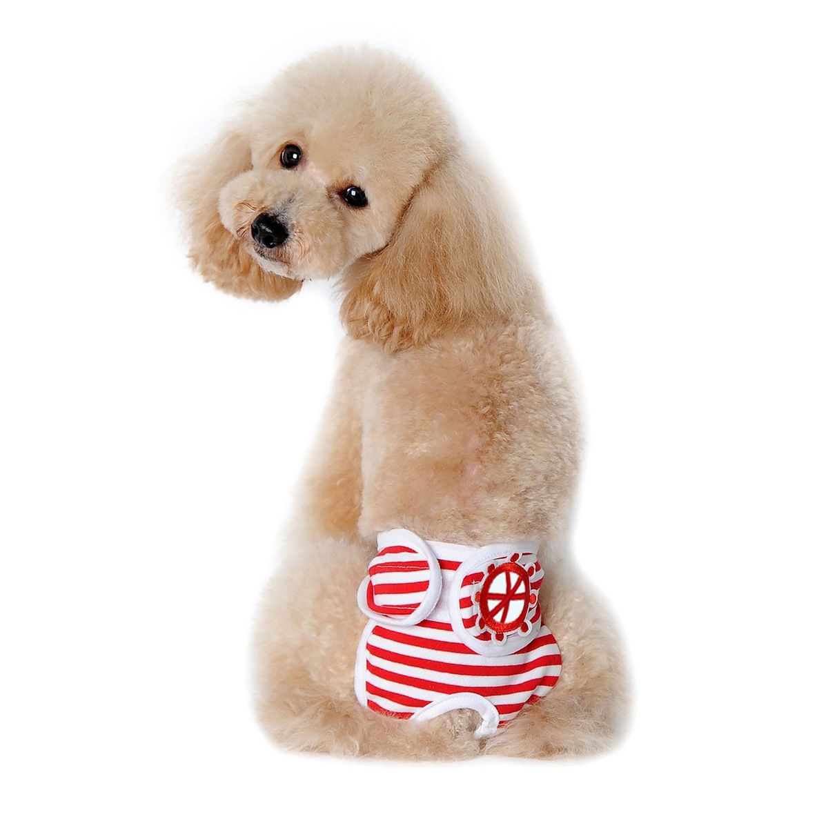 Washable Dog Physiological Underwear with Nautical Striped Design, Adjustable Magic Tape, Tail Opening and Leak-Proof Layer for Small to Large Dogs During Heat Cycles and Daily Indoor or Outdoor Use (M, Black)
