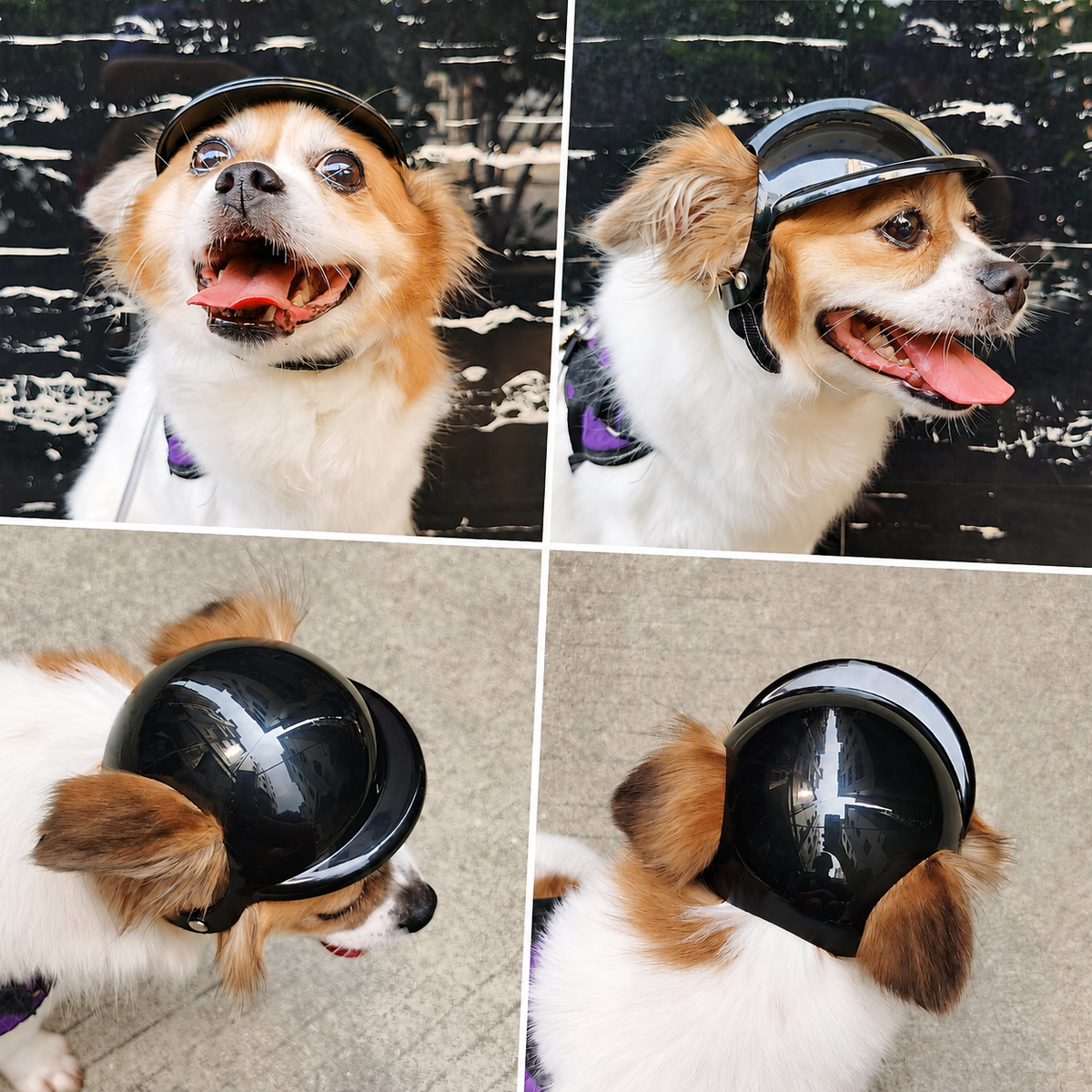 Pet Helmet for Dogs and Cats, Adjustable Outdoor Safety Headgear with Ventilation and Padded Interior, Fun Motorcycle Style Hat for Rides and Daily Walks (S, Rose)