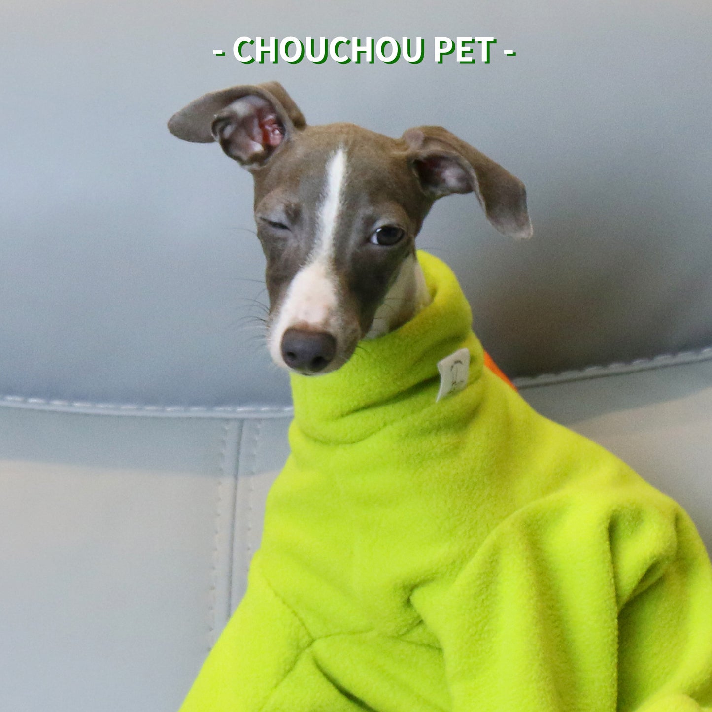XL Adorable Dinosaur Fleece Dog Jumpsuit - Warm Winter Pajamas for Whippets & Italian Greyhounds