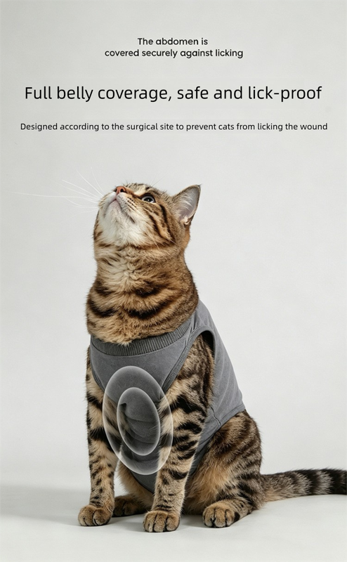 Blue Pet Recovery Suit M Size (Approx.2-4 kg) - Modal Stretch Post Surgery Bodysuit, Breathable Abdominal Coverage and Anti Licking Clothing for Cats and Dogs
