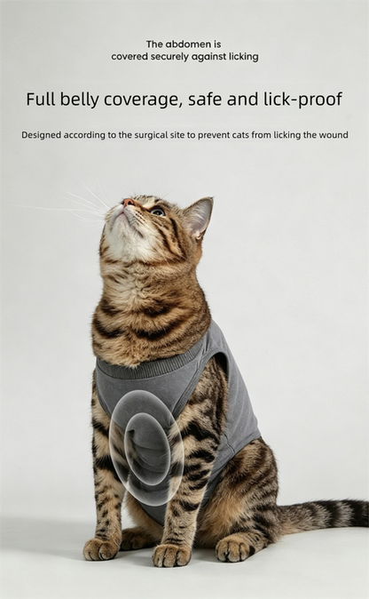 Blue Pet Recovery Suit L Size (Approx.4-7 kg kg) - Modal Stretch Post Surgery Bodysuit, Breathable Abdominal Coverage and Anti Licking Clothing for Cats and Dogs
